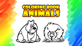 Carte de colorat - Animale