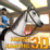 Sărituri de Obstacole cu Calul 3D